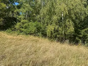 Prodej ubytování, Bílé Poličany, 1000 m2