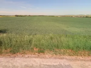 Prodej pole, Horní Slivno, 4922 m2