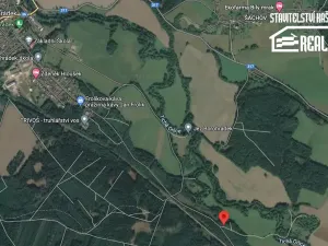 Prodej lesa, Borohrádek, Rudé armády, 5514 m2