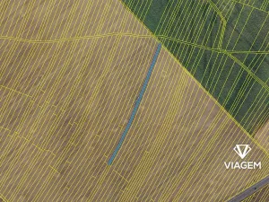 Prodej podílu pole, Moravská Nová Ves, 375 m2