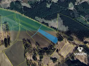 Prodej podílu pole, Borotín, 446 m2