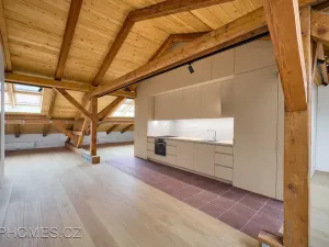 Pronájem bytu 1+kk, Praha - Nové Město, Podskalská, 97 m2