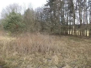 Dražba louky, Novosedly nad Nežárkou, 15643 m2