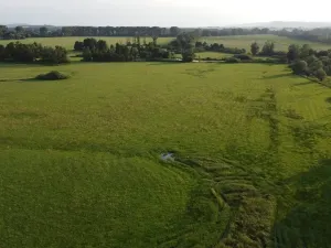 Dražba louky, Pustějov, 9886 m2