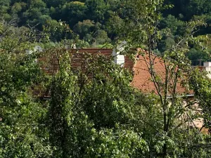 Prodej zahrady, Bojkovice, 1208 m2