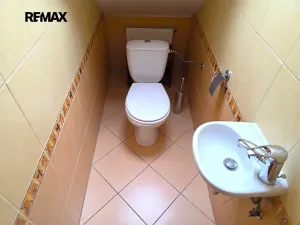 Prodej rodinného domu, Heršpice, 309 m2