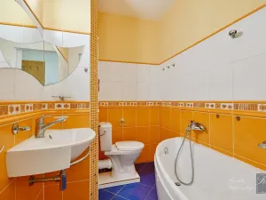 Prodej bytu 1+1, Ústí nad Labem, Šípková, 34 m2