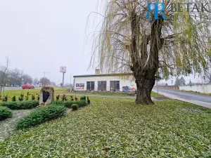 Prodej obchodního prostoru, Přerov, Želatovská, 256 m2