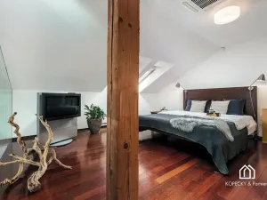 Prodej bytu 4+kk, Praha - Josefov, Široká, 212 m2