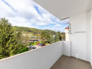 Prodej bytu 2+1, Blansko, Družstevní, 59 m2