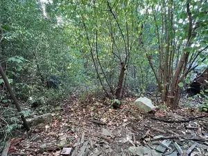 Prodej pozemku pro bydlení, Klatovy, 789 m2