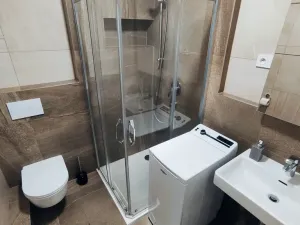 Pronájem bytu 1+kk, Olomouc, Šantova, 28 m2