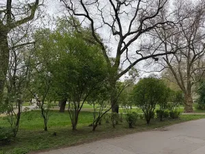 Pronájem bytu 2+kk, Praha - Karlín, Kaizlovy sady, 37 m2