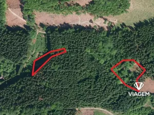 Prodej podílu lesa, Růžďka, 26713 m2