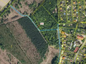 Dražba lesa, Chrudim, 1417 m2