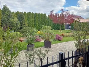 Pronájem rodinného domu, Hluk, 200 m2