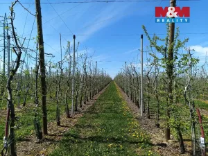 Prodej pole, Synkov-Slemeno - Slemeno, 8946 m2