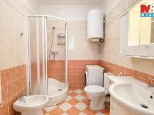 Pronájem atypického bytu, Lenešice, 171 m2