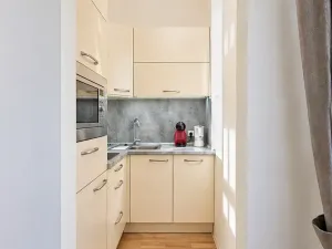 Pronájem bytu 2+1, Praha - Staré Město, Haštalská, 49 m2