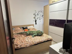 Pronájem bytu 2+1, Karlovy Vary, Konečná, 62 m2