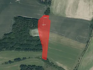 Prodej pole, Chotýšany, 13942 m2