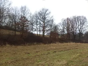 Dražba louky, Mladá Vožice, 26557 m2