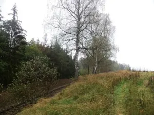 Dražba louky, Peč, 7060 m2