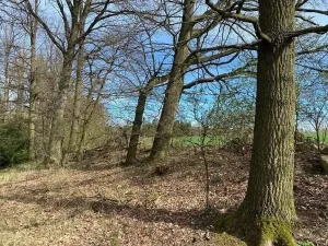 Prodej pole, Okrouhlá Radouň, 17482 m2