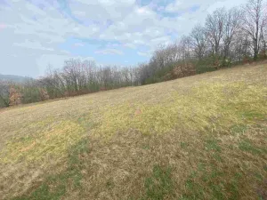 Prodej pozemku, Linhartice, 9269 m2