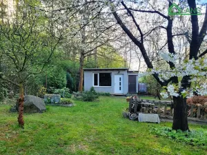 Pronájem zahrady, Brno, 400 m2