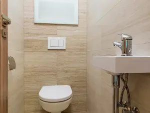 Pronájem bytu 2+kk, Staré Město, Mahenova, 45 m2