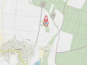 Prodej podílu lesa, Sojovice, 1204 m2