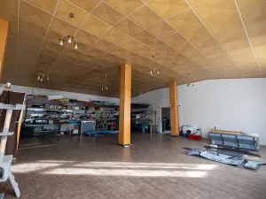 Prodej vícegeneračního domu, Vejprty, 900 m2