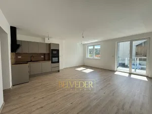Pronájem bytu 2+kk, Teplice, Albrechtova, 70 m2