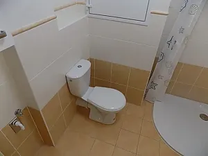 Pronájem bytu 1+kk, Prostějov, 35 m2