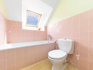 Prodej vícegeneračního domu, Boskovice, 260 m2