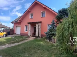 Prodej rodinného domu, Božice, 233 m2