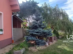 Prodej rodinného domu, Božice, 233 m2