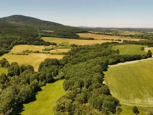 Prodej lesa, Horní Stropnice, 35281 m2