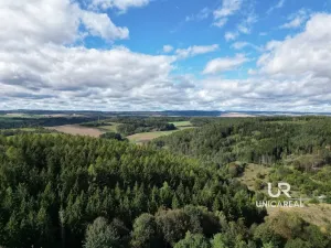 Prodej chaty, Pohledy - Horní Hynčina, 90 m2