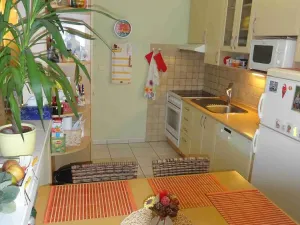 Pronájem bytu 2+1, Brno - Nový Lískovec, Koniklecová, 53 m2