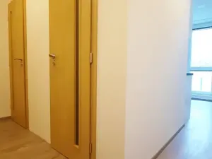 Pronájem bytu 1+1, Brno, Fričova, 46 m2