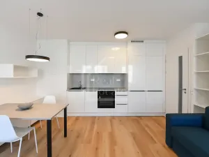 Pronájem bytu 1+kk, Praha - Kamýk, Hodkovická, 30 m2