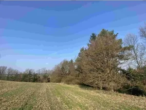 Prodej pozemku, Hluboká nad Vltavou - Kostelec, 3163 m2