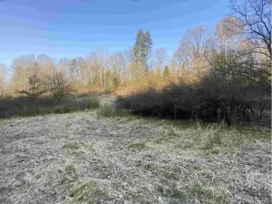 Prodej pozemku, Hluboká nad Vltavou - Kostelec, 3163 m2