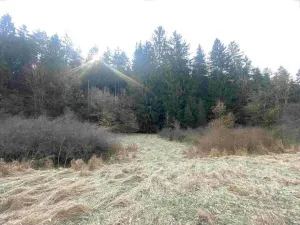 Prodej pozemku, Hluboká nad Vltavou - Kostelec, 3163 m2