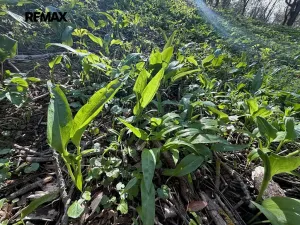 Prodej chaty, Uherský Brod, 25 m2