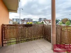 Prodej bytu 1+kk, Olomouc, Handkeho, 43 m2