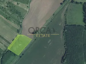 Prodej pole, Týnec, 27684 m2