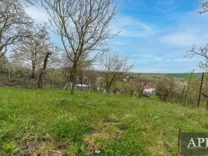 Prodej rodinného domu, Boršice u Blatnice, 105 m2